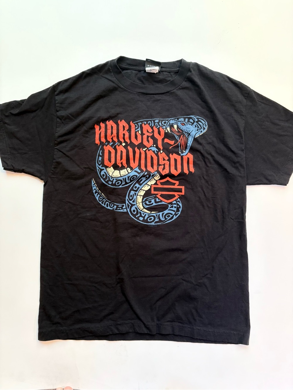 Harley-Davidson Sarasota Snake Graphic Black Tee